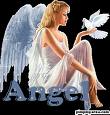 http://images.onlc.eu/angel-voyanceNDD//126844741072.jpg