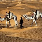 http://images.onlc.eu/circuitdesertNDD//130590677850.jpg http://images.onlc.eu/circuitdesertNDD//130590677850.jpg