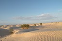 http://images.onlc.eu/circuitdesertNDD//130590689741.jpg http://images.onlc.eu/circuitdesertNDD//130590689741.jpg