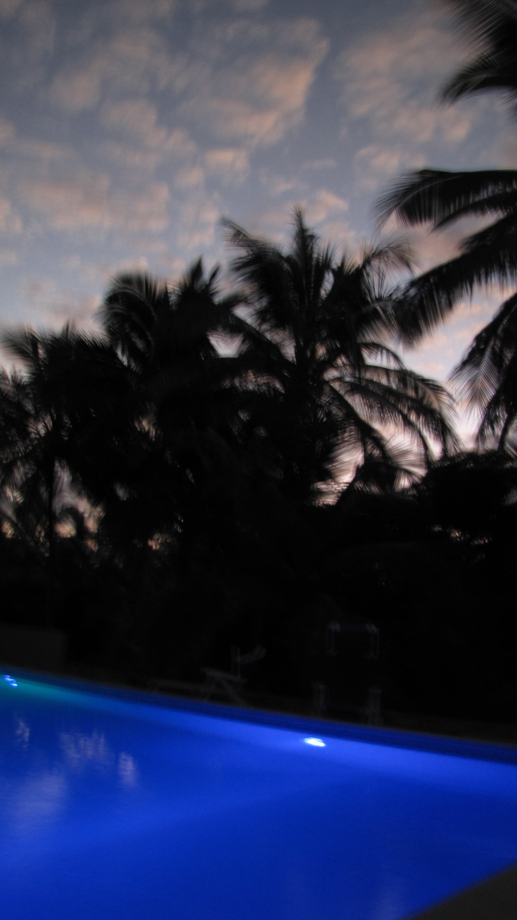 http://images.onlc.eu/escaletropicaleNDD//127762655635.jpg