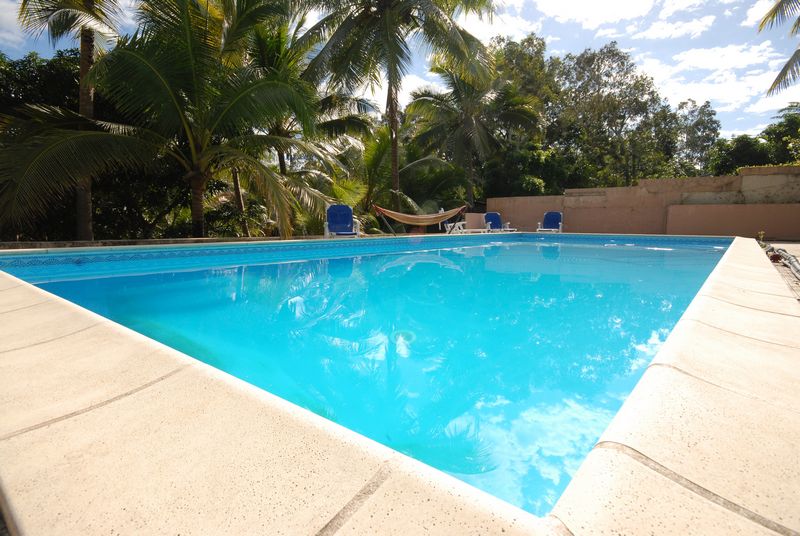 http://images.onlc.eu/escaletropicaleNDD//127806980372.jpg