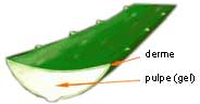 http://images.onlc.eu/foreveryoungNDD//126497072620.jpeg