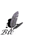 http://images.onlc.eu/jardinsexotiqueNDD//129061350060.gif
