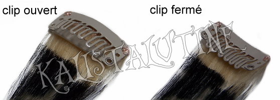 extension clips