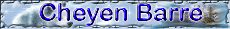 http://images.onlc.eu/lestresorsduwebNDD//125354206960.gif