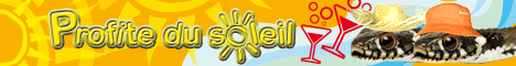 http://images.onlc.eu/lestresorsduwebNDD//125354261283.gif