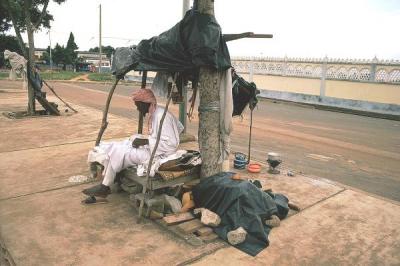 http://images.onlc.eu/lysdesvalleesNDD//124557812357.jpg