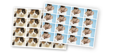 http://images.onlc.eu/multiexpresNDD//123663151257.gif http://images.onlc.eu/multiexpresNDD//123663151257.gif