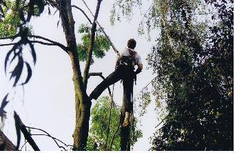 http://images.onlc.eu/paysagiste56-44NDD//12903555413.jpg http://images.onlc.eu/paysagiste56-44NDD//12903555413.jpg