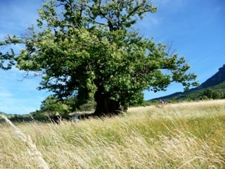 http://images.onlc.eu/randodioisNDD//129780315873.jpeg http://images.onlc.eu/randodioisNDD//129780315873.jpeg