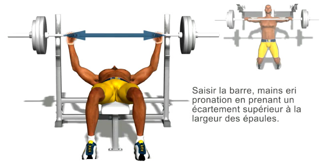 http://images.onlc.eu/sbhmusculationNDD//127125494668.jpg