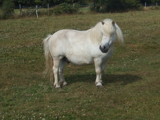 http://images.onlc.eu/second-souffleNDD//126881399823.jpg http://images.onlc.eu/second-souffleNDD//126881399823.jpg