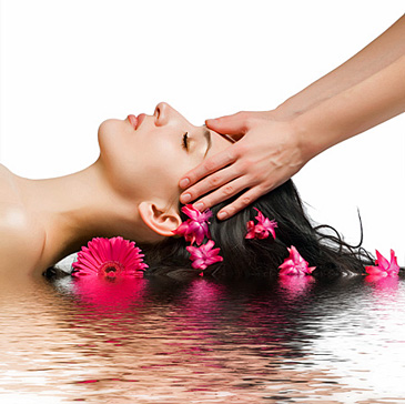 http://images.onlc.eu/terre-aromesNDD//130615854394.jpg