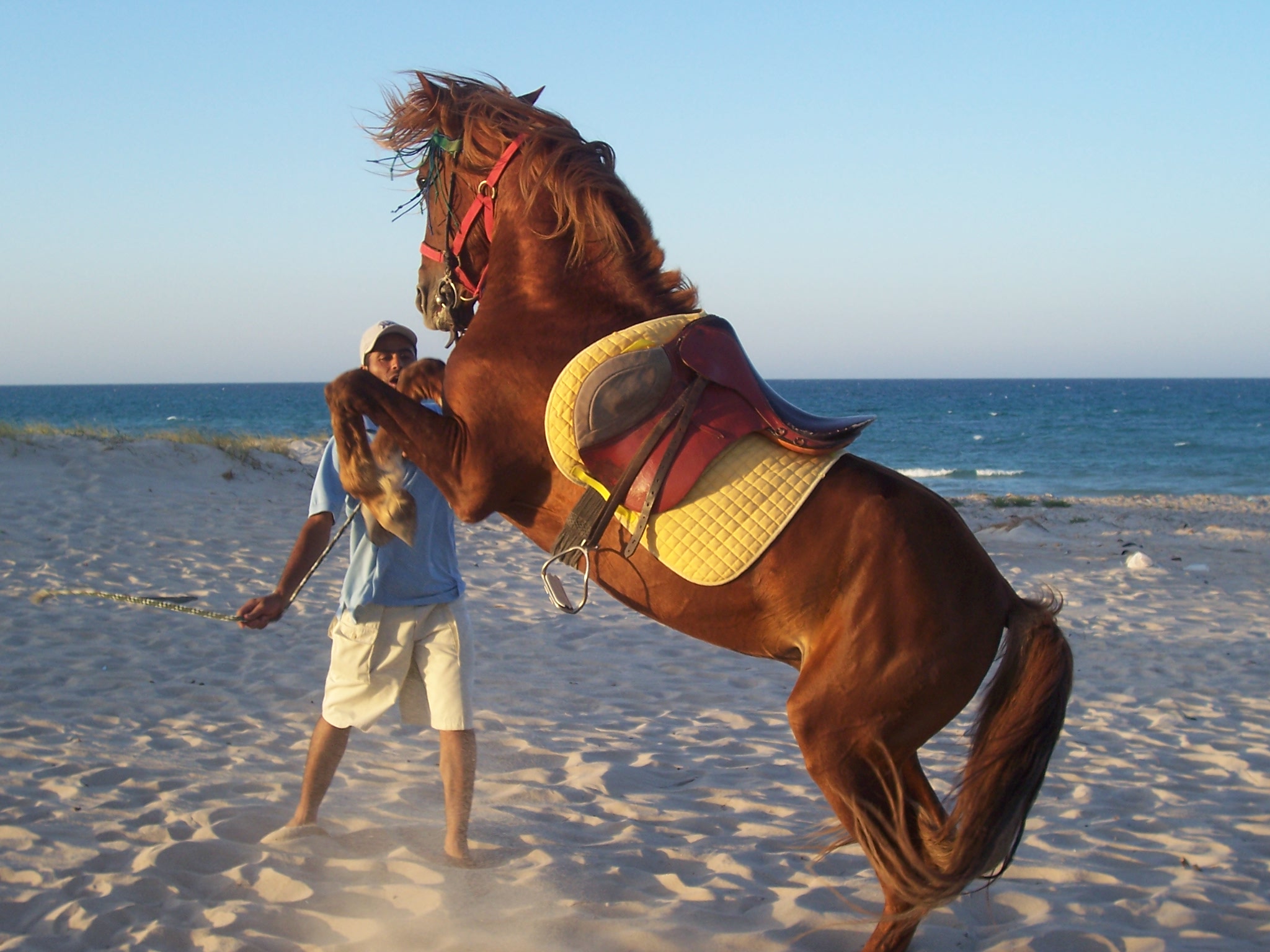 Balade à cheval